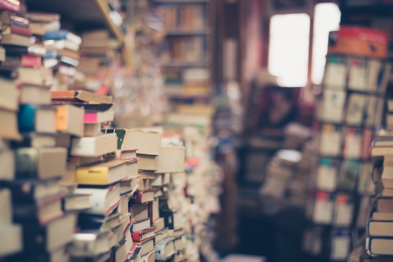 ecommerce-ST MARTIN DE PALLIERES-min_books_stack_book_store_stack_of_books_2nd_hand_retro_hipster_shop-829090