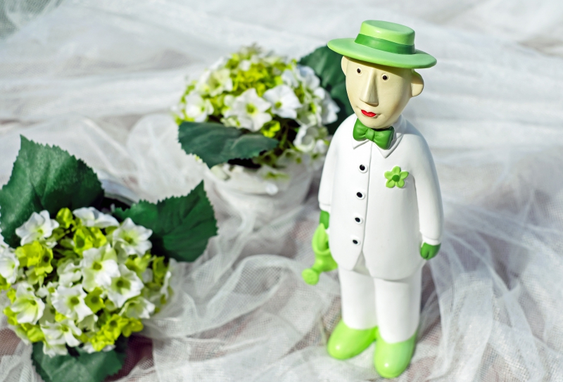 ecommerce-ST MARTIN DE PALLIERES-min_man-person-flower-green-toy-fig-546529-pxhere.com